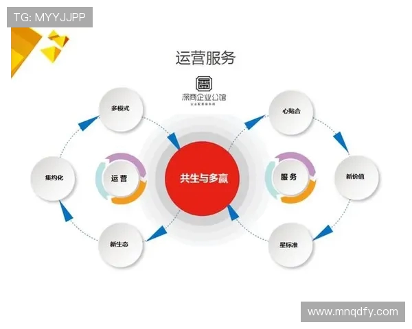 深圳排球队的节奏解析:深度探讨排球战术与团队协作的奥秘
